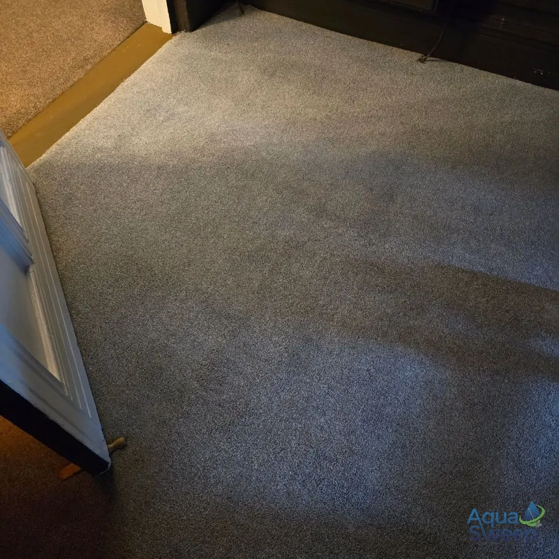After: light grey carpet with massage oil spots across the room