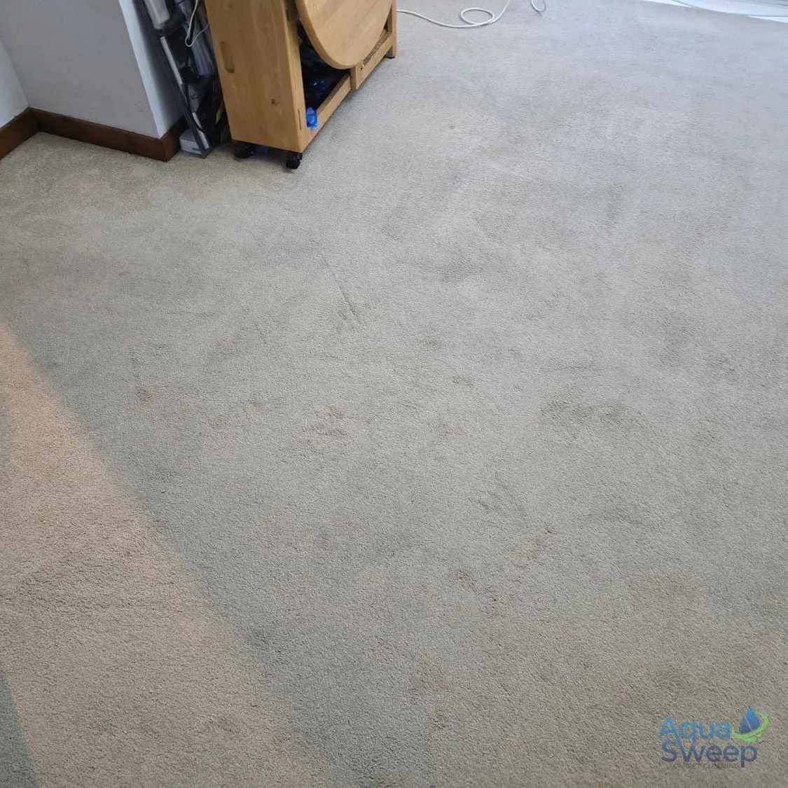 After: beige lounge carpet covered in dark stains