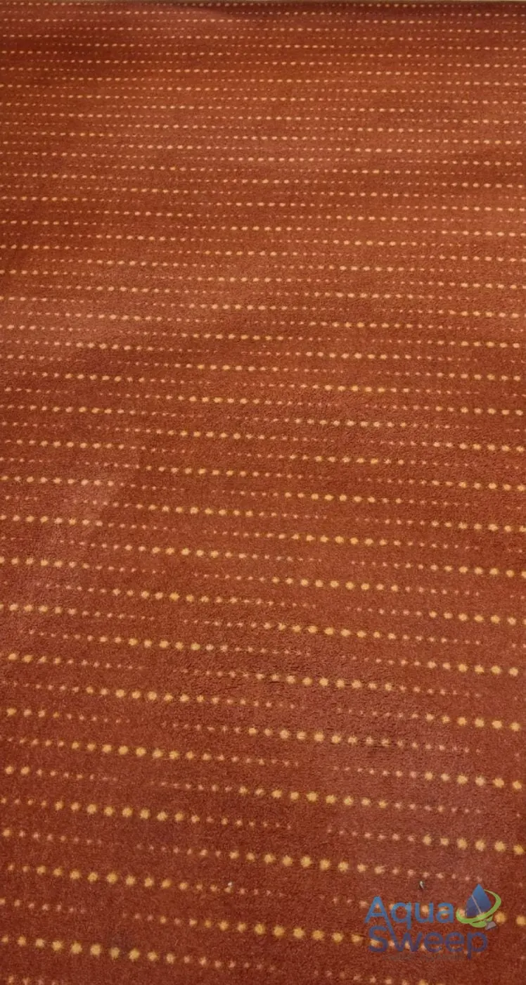 After: patterned red commercial carpet with a dark stain