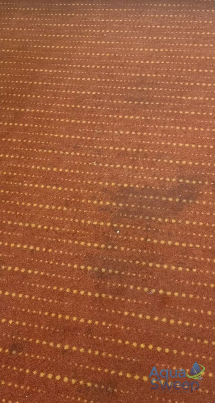 Before: patterned red commercial carpet with a dark stain