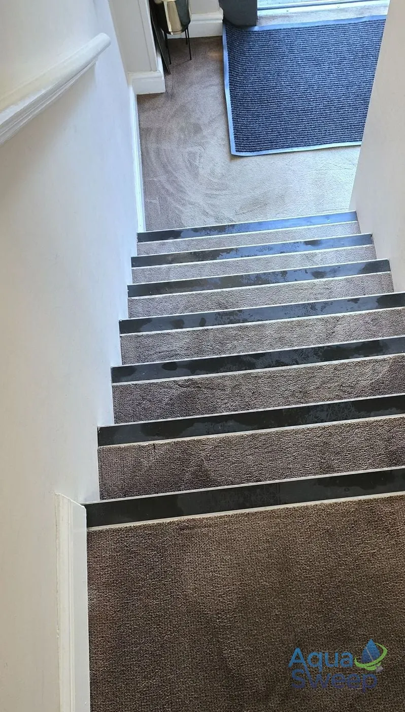 After: dark brown stair carpet, dull and worn on every step