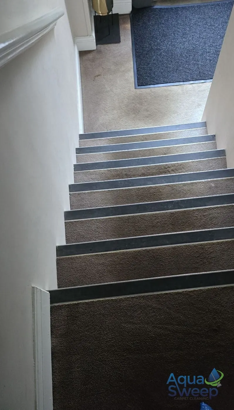 Before: dark brown stair carpet, dull and worn on every step