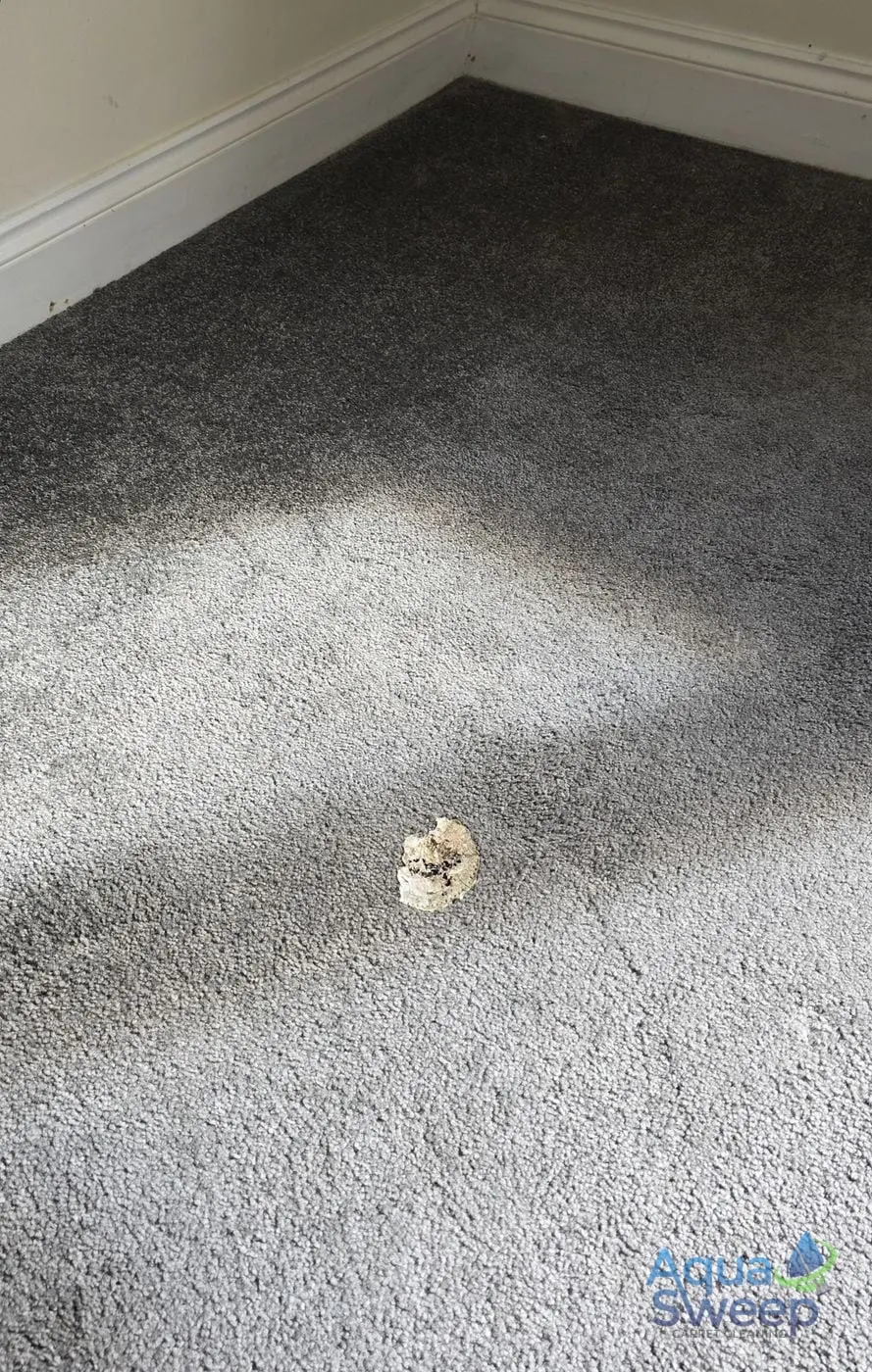 Before: grey bedroom carpet with a burn mark and dull patches
