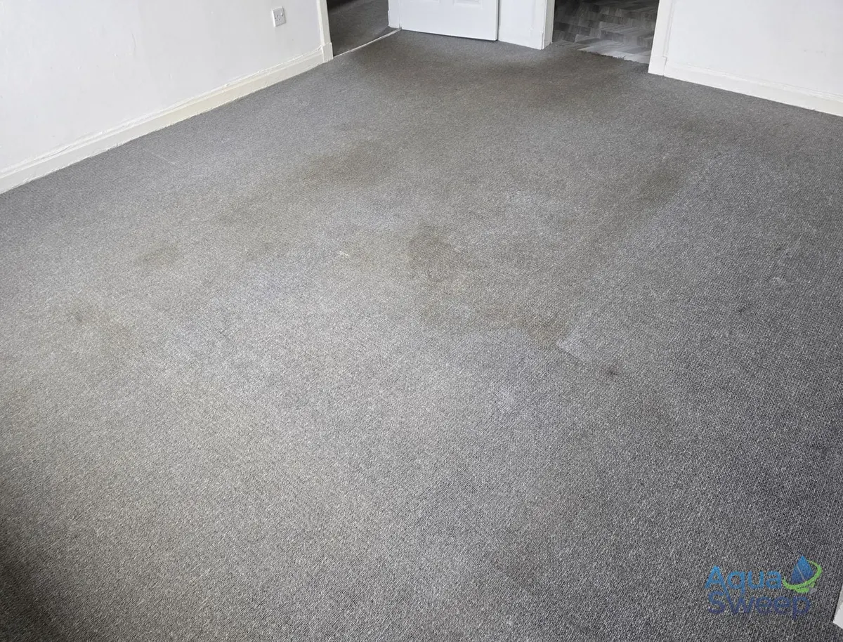 Before: grey carpet with dark marks and traffic patches across the room