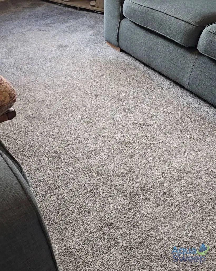 Before: grey lounge carpet between two sofas, with a dirty traffic lane