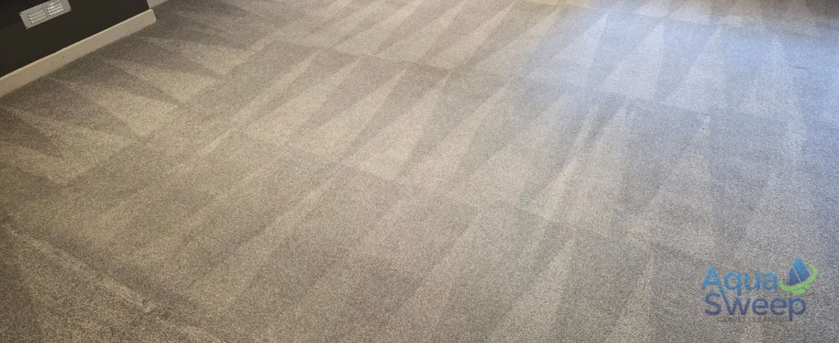 After: light grey lounge carpet with marks and rings