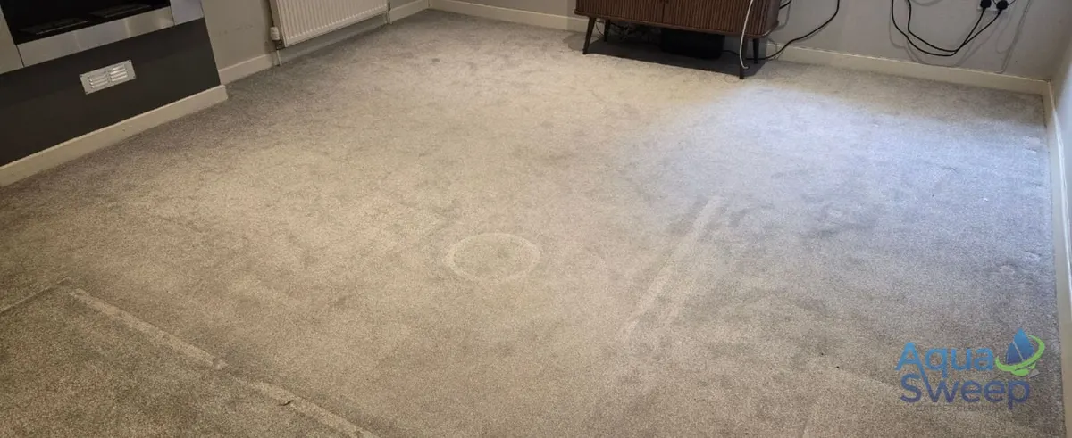 Before: light grey lounge carpet with marks and rings