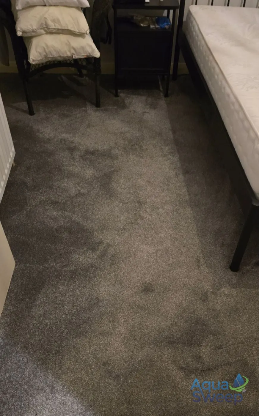 After: grey bedroom carpet with a pet accident trail beside the bed