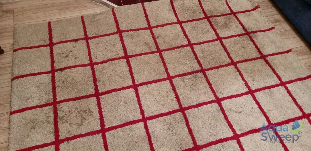 Before: cream shaggy rug with a red grid pattern