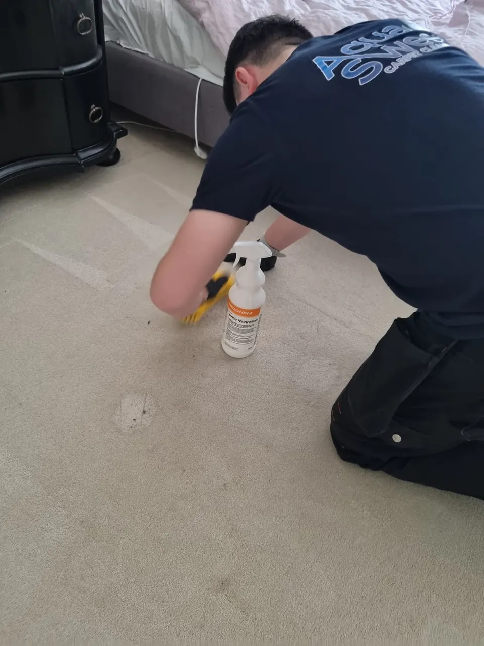 Treating a spot on a cream carpet with a spray and a brush
