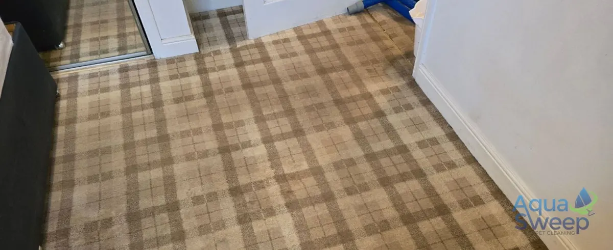 Before: tartan pattern hallway carpet with dirt in the pattern