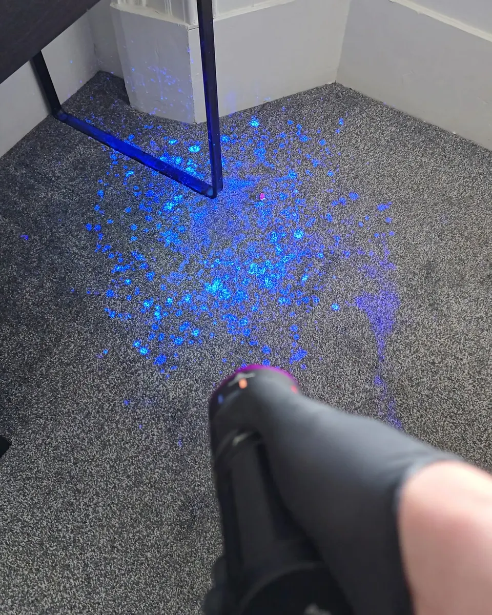 UV light showing pet urine spots glowing blue on a grey carpet beside a desk