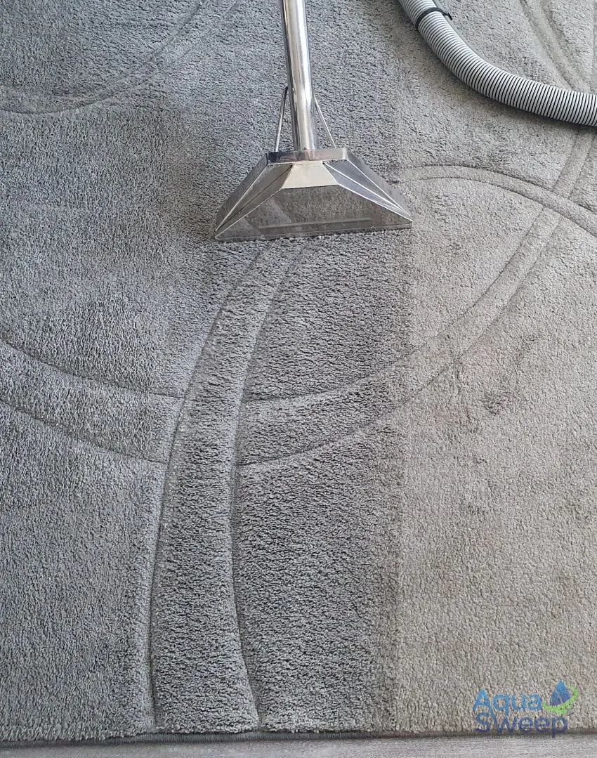 Cleaning wand on a grey patterned rug, leaving a clean stripe through the dirt
