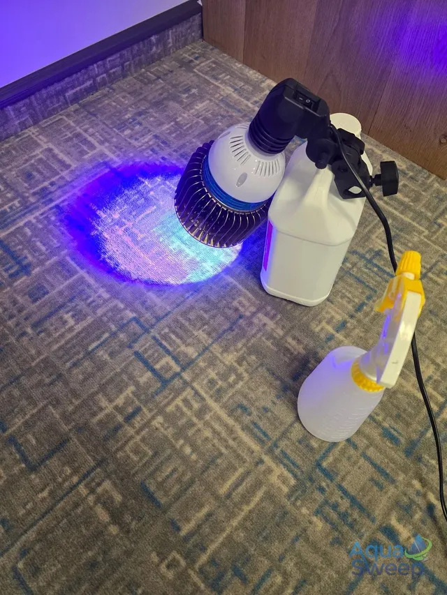 UV lamp and spray bottle being used for advanced stain removal on a patterned carpet